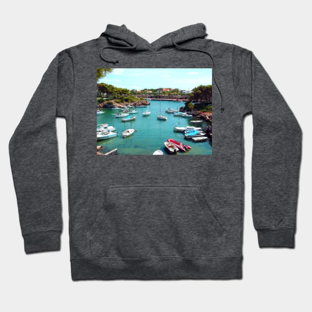 Moorings Hoodie by tomg